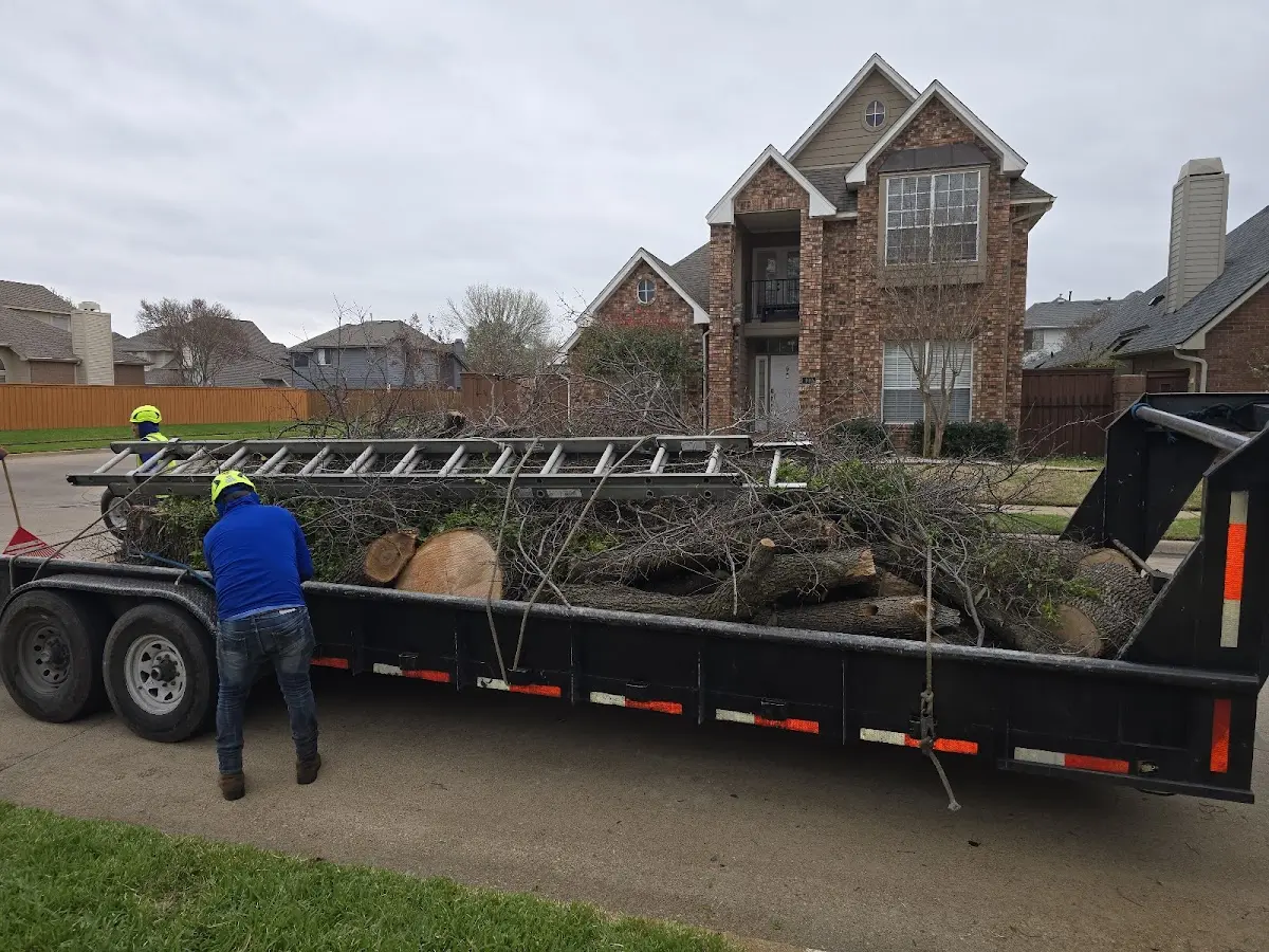 Expert Tree Removal with proper safety equipment in Hardtner